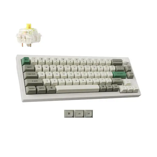 Main image of Keychron Q2 Max Wireless Custom Mechanical Gaming Keyboard, QMK/VIA Programmable Knob 2.4 GHz/Bluetooth 5.1/Wired, 65% Compact RGB Hot-Swap with Gateron Banana Switch for Mac Windows Linux - White