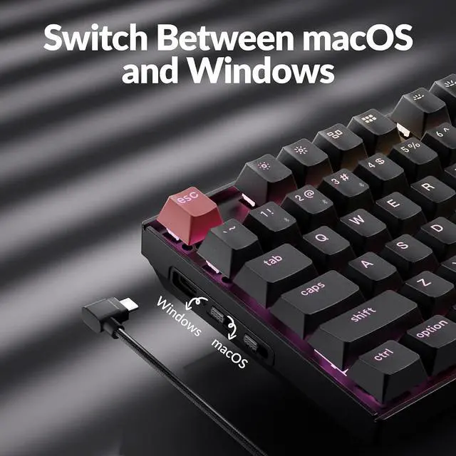 Alt view image 3 of 7 - Keychron K8 Version 2 TKL Custom Wireless Mechanical Keyboard, QMK Programmable Bluetooth 5.2/Wired, RGB Backlit with Shine-Through PBT Keycaps, Super Red Switch for Mac Windows Linux