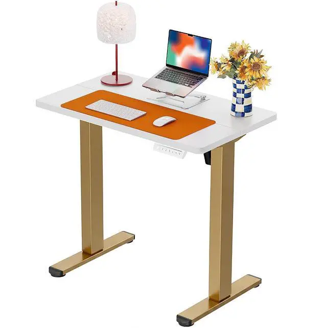 Main image of ErGear Height Adjustable Electric Standing Desk, 32 x 19 Inches Sit Stand up Desk, Memory Computer Home Office Desk, White+Gold