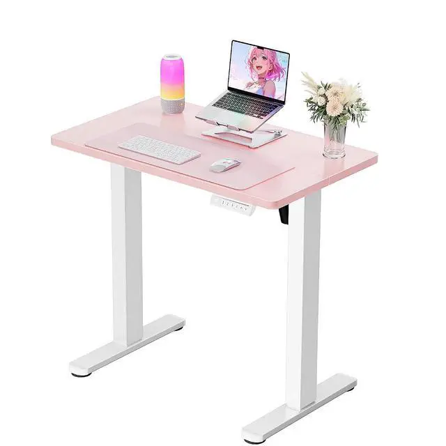 Main image of ErGear Height Adjustable Electric Standing Desk, 32 x 19 Inches Sit Stand up Desk, Memory Computer Home Office Desk, Pink