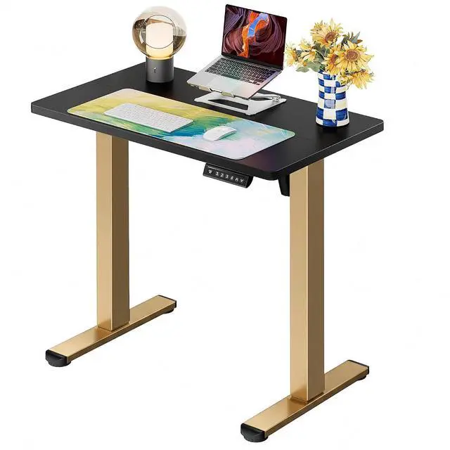 Main image of ErGear Height Adjustable Electric Standing Desk, 32 x 19 Inches Sit Stand up Desk, Memory Computer Home Office Desk, Black+Gold