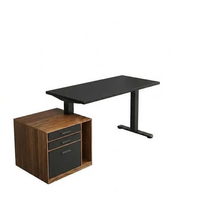 Main image of ErGear Height Adjustable Electric Executive Standing Desk with File Cabinet, 63 x 28 Inches Sit Stand up Desk, 4 Memory Computer Home Office Desk with 2 Hooks, Black, 2 Packages