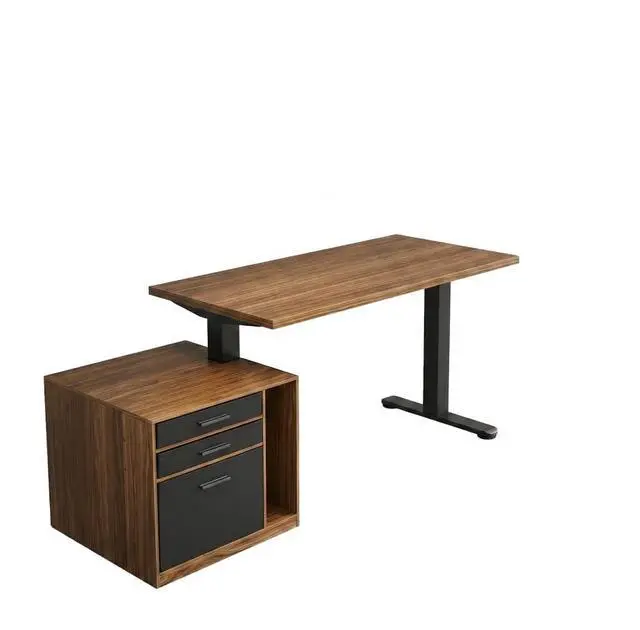 Main image of ErGear Height Adjustable Electric Executive Standing Desk with File Cabinet, 63 x 28 Inches Sit Stand up Desk, 4 Memory Computer Home Office Desk with 2 Hooks, Walnut, 2 Packages