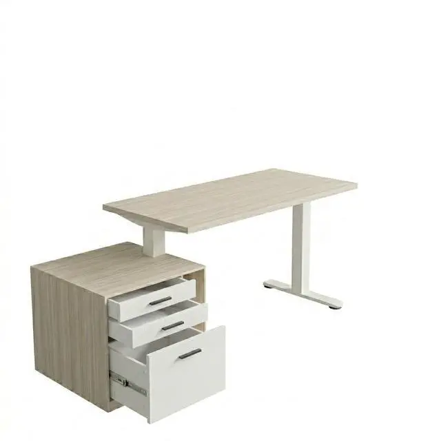 Main image of ErGear Height Adjustable Electric Executive Standing Desk with File Cabinet, 55 x 28 Inches Sit Stand up Desk, 4 Memory Computer Home Office Desk with 2 Hooks, Natural, 2 Packages