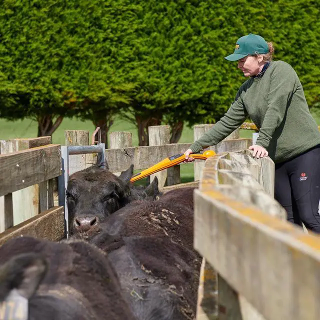 Alt view image 7 of 7 - Gallagher HR0 Handheld EID Tag Reader | Bluetooth Livestock Tag Scanner for FDX and HDX Ear Tags | Connects to Weigh Scales, Smartphones, Excel, and Notepad