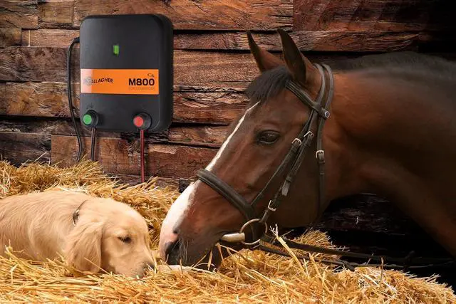 Alt view image 4 of 4 - Gallagher M800 Electric Fence Charger | Powers Up to 90 Miles / 520 Acres of Clean Fence | 8.0 Joule 110v Fence Energizer for Livestock, Pastures, and Wildlife Exclusion