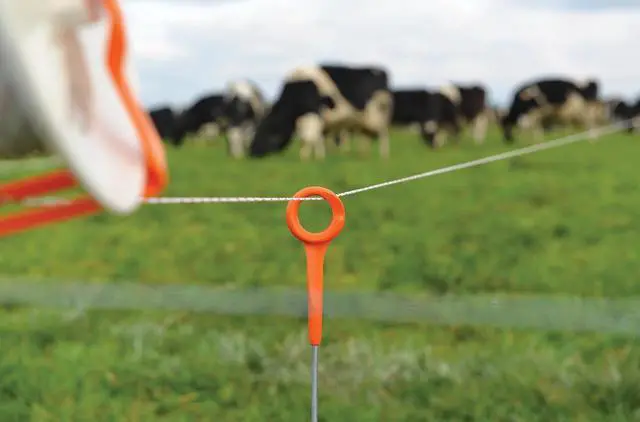 Alt view image 4 of 4 - Gallagher 34" Ring-Top Fence Post for Electric Fencing and Boundary Marking | 50 Pack | Lightweight, Easy Installation, and Ideal for Rotational Grazing, Temporary Fencing, and Boundary Marking