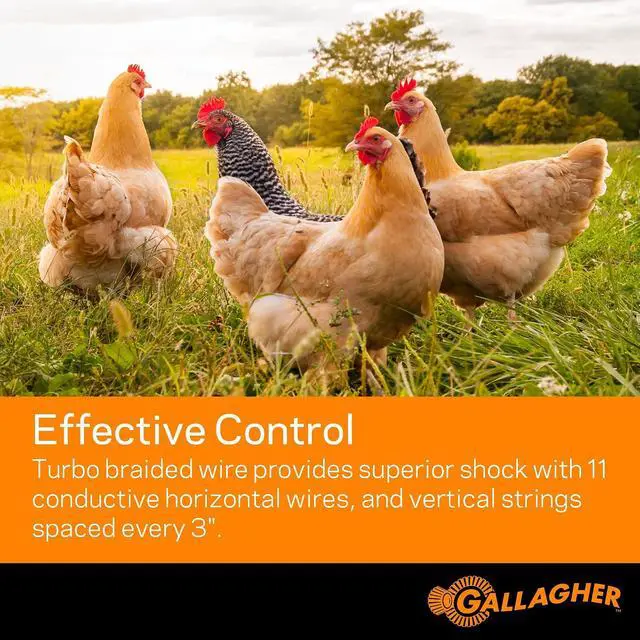 Alt view image 3 of 7 - Gallagher 48" x 164' Electric Poultry Netting | Chicken Fence Repels Predators, 9 Mixed Metal Strands for 48x More Conductivity and Consistent Voltage, Sturdy Wire Fencing Keeps Poultry Safe
