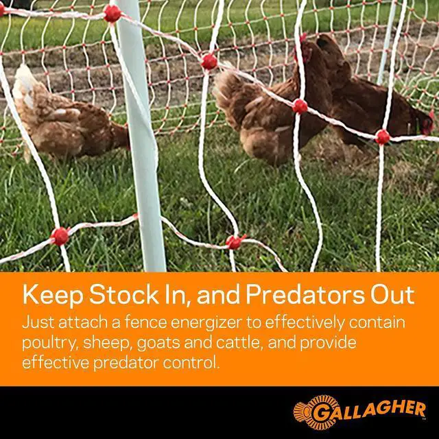 Alt view image 7 of 7 - Gallagher 48" x 164' Electric Poultry Netting | Chicken Fence Repels Predators, 9 Mixed Metal Strands for 48x More Conductivity and Consistent Voltage, Sturdy Wire Fencing Keeps Poultry Safe