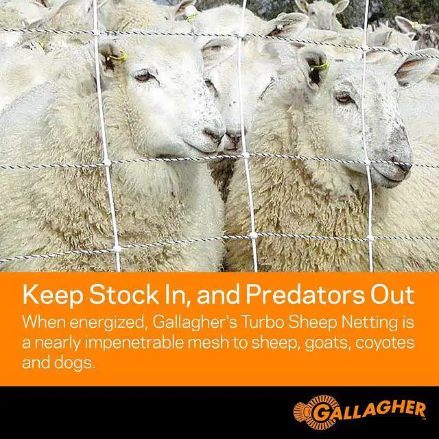 Alt view image 5 of 6 - Gallagher 35" x 164' Electric Net Fence for Goats, Sheep, Garden Protection & Predator Control | Heavy-Duty Braided Turbo Wire Livestock Netting | Portable, Reusable Fence for Homesteads & Ranches