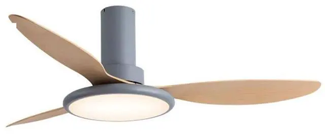 Main image of Simple Low Profile Ceiling Fan Light Frequency Conversion Ceiling Fans with Lights and Remote 42 Inch Modern Fan Light Dimmable Ceiling-Mounted Bedroom Ceiling Fan