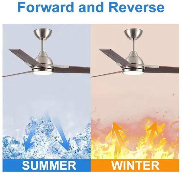 Alt view image 5 of 7 - 52 Inch Ceiling Fans with Lights and Remote 3-Blade American Ceiling Fan with Lights 2 Downrods Reversible 6 Speeds 3 Colors Dimmable for Bedroom Dining Room Kids Room