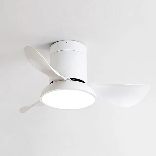 Main image of 28 inch Small Flush Mount Ceiling Fans with Lights Remote Low Profile Modern Ceiling Fans with Lights, 3CCT, Reversible, 6 Speed, Noiseless, for Patio Kitchen Bedroom