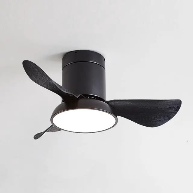Main image of 28 inch Small Flush Mount Ceiling Fans with Lights Remote Low Profile Modern Ceiling Fans with Lights, 3CCT, Reversible, 6 Speed, Noiseless, for Patio Kitchen Bedroom