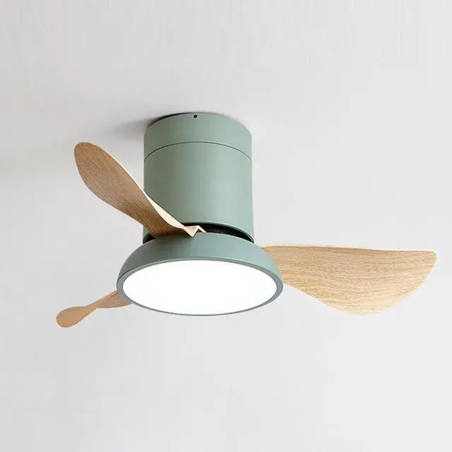 Main image of 28 inch Small Flush Mount Ceiling Fans with Lights Remote Low Profile Modern Ceiling Fans with Lights, 3CCT, Reversible, 6 Speed, Noiseless, for Patio Kitchen Bedroom
