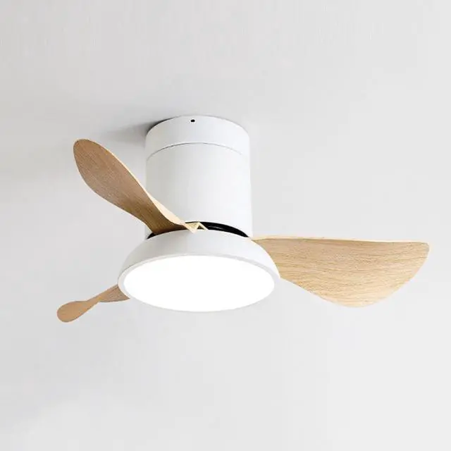 Main image of 28 inch Small Flush Mount Ceiling Fans with Lights Remote Low Profile Modern Ceiling Fans with Lights, 3CCT, Reversible, 6 Speed, Noiseless, for Patio Kitchen Bedroom