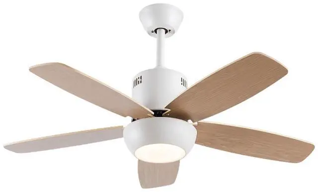 Main image of Modern Ceiling Fan With Light and Remote 42 inch Indoor/Outdoor Ceiling Fans with Lights Reversible DC Motors, 3CCT Dimmable Timer Noiseless Ceiling Fans for Bedroom Living Room Patio
