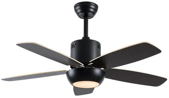 Main image of Modern Ceiling Fan With Light and Remote 42 inch Indoor/Outdoor Ceiling Fans with Lights Reversible DC Motors, 3CCT Dimmable Timer Noiseless Ceiling Fans for Bedroom Living Room Patio