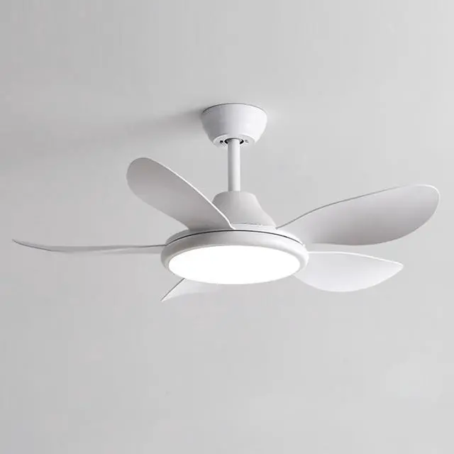 Main image of 42 inch Ceiling Fan with Lights Modern Ceiling Fan With Lights and Remote, 3CCT 6-Speeds Quiet DC Moto, Indoor Low Profile Ceiling Fan for Living Room,Indoor/Outdoor Use