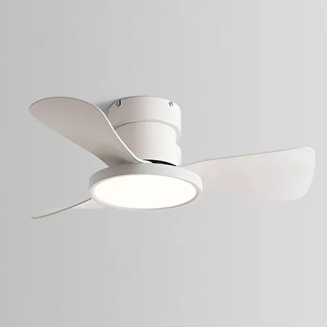 Main image of 20 inch Ceiling Fans with Lights and Remote Flush Mount Low Profile Modern Ceiling Fans, Reversible, 3CCT, Noiseless, LED Ceiling Fan Lighting Fixture for Indoor/Outdoor Use