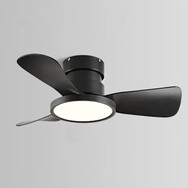 Main image of 20 inch Ceiling Fans with Lights and Remote Flush Mount Low Profile Modern Ceiling Fans, Reversible, 3CCT, Noiseless, LED Ceiling Fan Lighting Fixture for Indoor/Outdoor Use