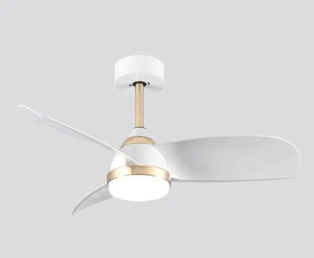 Main image of Modern 24 inch Small Ceiling Fan with Lights Low Profile Ceiling Fan with Lights and Remote 6 Speed 3 Color Dimmable LED Ceiling Fans for Bedroom Living Room Kids Room Small Space