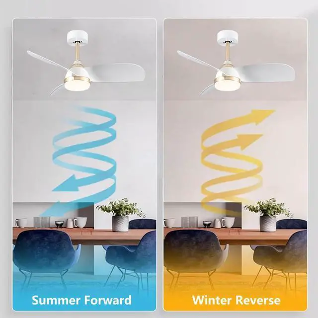 Alt view image 4 of 7 - Modern 24 inch Small Ceiling Fan with Lights Low Profile Ceiling Fan with Lights and Remote 6 Speed 3 Color Dimmable LED Ceiling Fans for Bedroom Living Room Kids Room Small Space