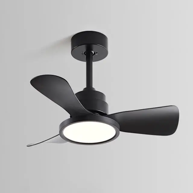 Main image of Ceiling Fans with Lights and Remote 20 inch Modern Smart Ceiling Fans, Reversible, 6CCT, Dimmable, 6 speeds, Timetable, Noiseless Ceiling Fans for Indoor/Outdoor Use