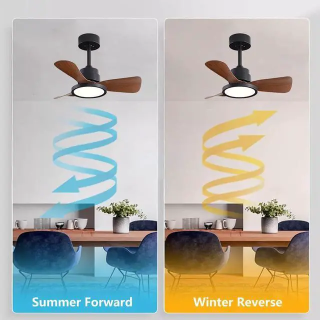 Alt view image 5 of 7 - Ceiling Fans with Lights and Remote 20 inch Modern Smart Ceiling Fans, Reversible, 6CCT, Dimmable, 6 speeds, Timetable, Noiseless Ceiling Fans for Indoor/Outdoor Use
