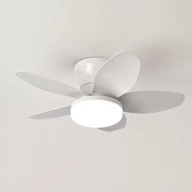 Main image of Small Ceiling Fans with Lights 23.6 inch Ceiling Fan with Light and Remote Reversible DC Motor 6 Speed 3 Color Flush Mount Ceiling Fans Low Profile Ceiling Fans for Living Room Kids Room