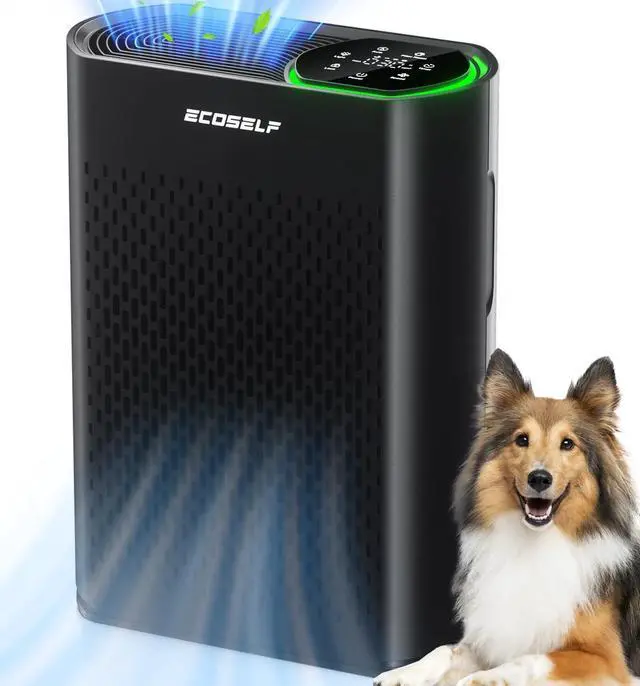 Main image of Air Purifier for Large Room, Cleans 2,400 ft² in 30 Mins, 3-Stage True HEPA, 360° Airflow, Large Touch Display Control, Real-Time Air Quality (PM2.5) Display, Ultra-Quiet 20dB Sleep Mode, HAP602 Black