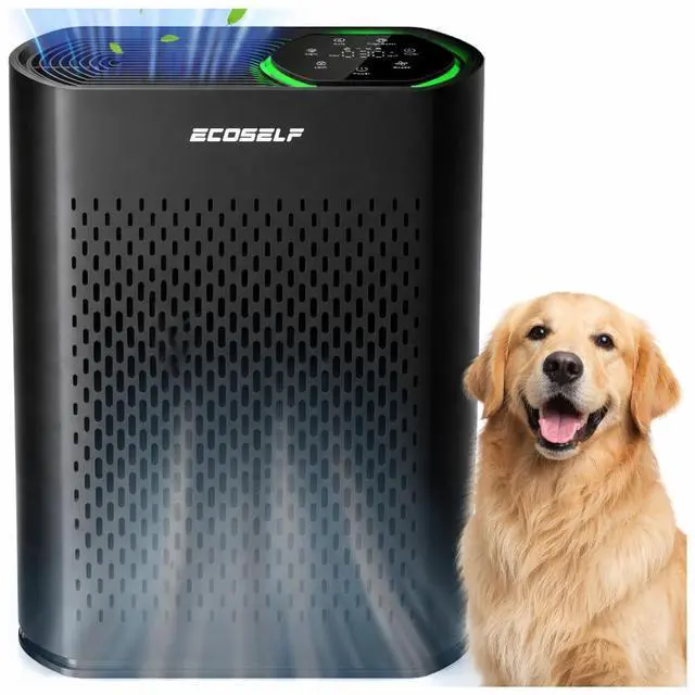 Main image of ECOSELF Air Purifier for Large Rooms Up to 2,400 Sq Ft, Air Intake, HEPA Filter with Smart Auto, Black