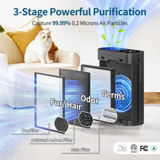 Alt view image 2 of 5 - ECOSELF Air Purifier for Large Rooms Up to 2,400 Sq Ft, Air Intake, HEPA Filter with Smart Auto, Black