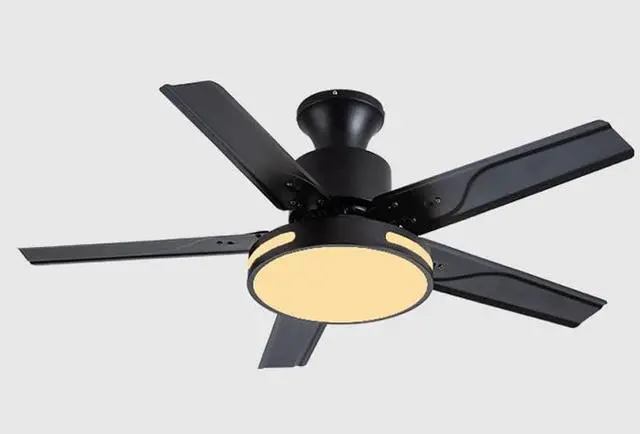 Main image of Modern Dimmable Ceiling Fan Light Ceiling Fans with Lights and Remote 42 Inch 5-Blade Bedroom Ceiling Fan Mute Ceiling Fans with Lights Flush Mount for Living Room Kids Room