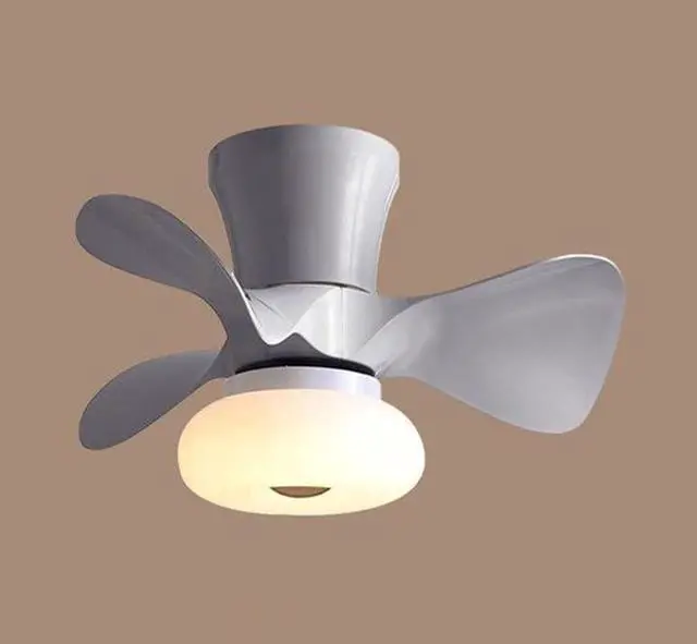 Main image of 21.6 Inch Smart Ceiling Fan with Lights Modern Dimmable Ceiling Fan with Remote Mute Low Profile Ceiling Fan with Light Led Flush Mount Indoor Ceiling Fans Outdoor Ceiling Fans for Patios