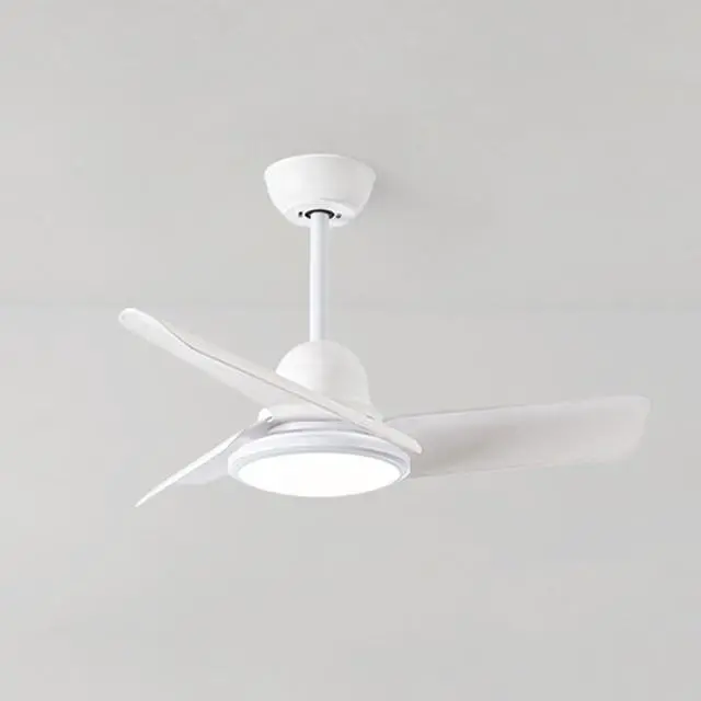 Main image of Small Modern Ceiling Fan with Lights 24 inch Kids Room Ceiling Fan with Lights and Remote Reversible Silent Indoor Ceiling Fans for Bedroom Kitchen Living Room