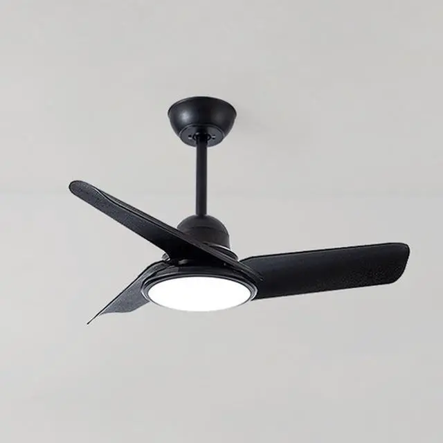 Main image of Small Modern Ceiling Fan with Lights 24 inch Kids Room Ceiling Fan with Lights and Remote Reversible Silent Indoor Ceiling Fans for Bedroom Kitchen Living Room