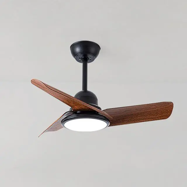 Main image of Small Modern Ceiling Fan with Lights 24 inch Kids Room Ceiling Fan with Lights and Remote Reversible Silent Indoor Ceiling Fans for Bedroom Kitchen Living Room