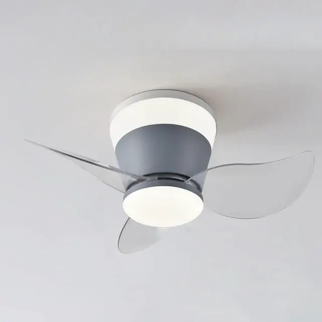 Main image of Modern Flush Mount Ceiling Fan with Lights 23 Inch Ceiling Fans with Lights and Remote LED Mute Low Profile Ceiling Fan with Light Outdoor Ceiling Fans for Patios with Light