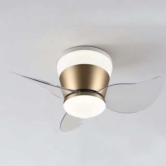Main image of Modern Flush Mount Ceiling Fan with Lights 23 Inch Ceiling Fans with Lights and Remote LED Mute Low Profile Ceiling Fan with Light Outdoor Ceiling Fans for Patios with Light