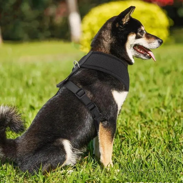 Alt view image 3 of 7 - Dog Harness for Large Sized Dog, Soft Puppy Padded Vest for Walking, Running, Training - Black, XL