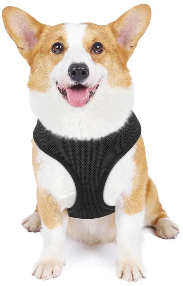 Main image of Dog Harness for Small Sized Dog, Soft Puppy Padded Vest for Walking, Running, Training - Black, M