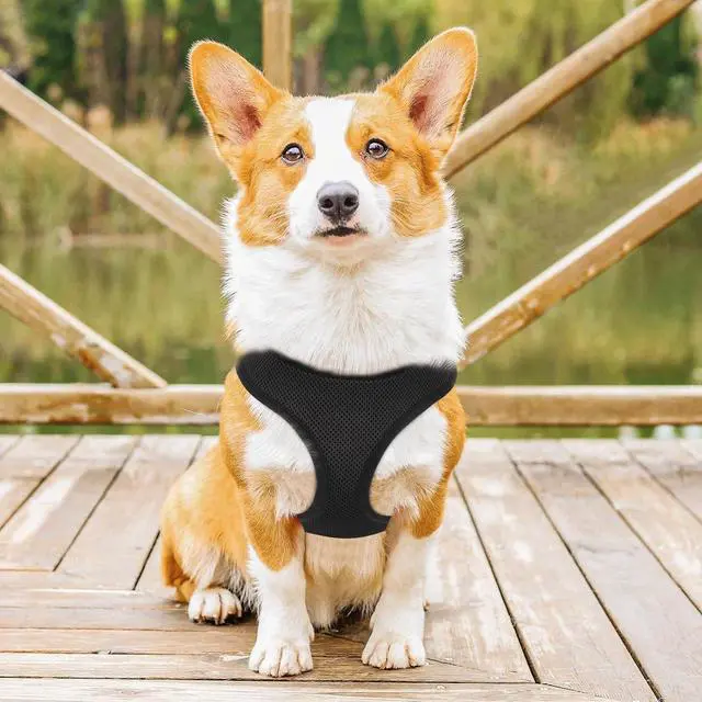 Alt view image 3 of 7 - Dog Harness for Small Sized Dog, Soft Puppy Padded Vest for Walking, Running, Training - Black, M