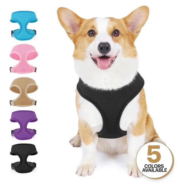 Alt view image 7 of 7 - Dog Harness for Small Sized Dog, Soft Puppy Padded Vest for Walking, Running, Training - Black, M