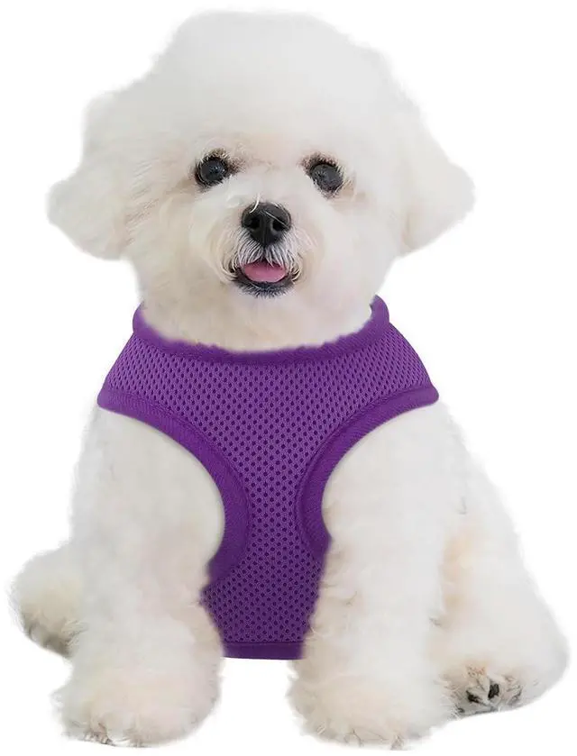 Main image of Dog Harness for Small Sized Dog, Soft Puppy Padded Vest for Walking, Running, Training - Purple, XS