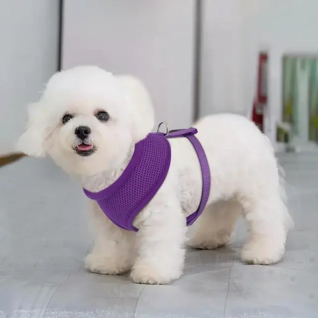Alt view image 3 of 7 - Dog Harness for Small Sized Dog, Soft Puppy Padded Vest for Walking, Running, Training - Purple, XS