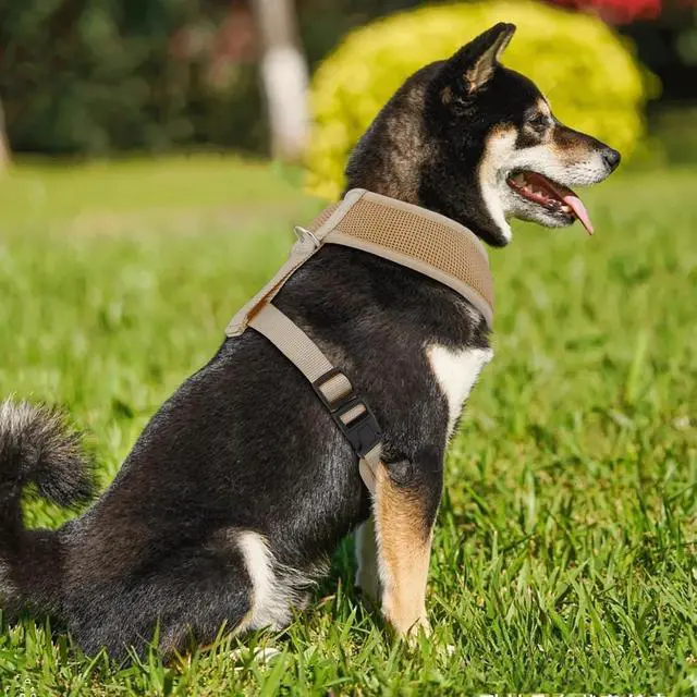 Alt view image 3 of 7 - Dog Harness for Large Sized Dog, Soft Puppy Padded Vest for Walking, Running, Training - Light Brown, XL
