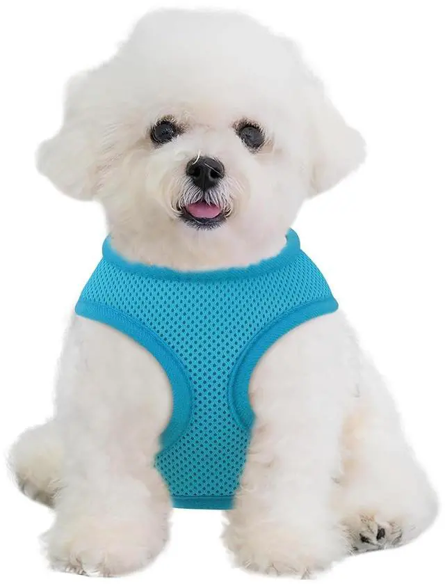 Main image of Dog Harness for Small Sized Dog, Soft Puppy Padded Vest for Walking, Running, Training - Sky Blue, XS