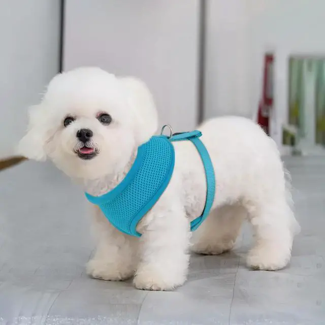 Alt view image 3 of 7 - Dog Harness for Small Sized Dog, Soft Puppy Padded Vest for Walking, Running, Training - Sky Blue, XS