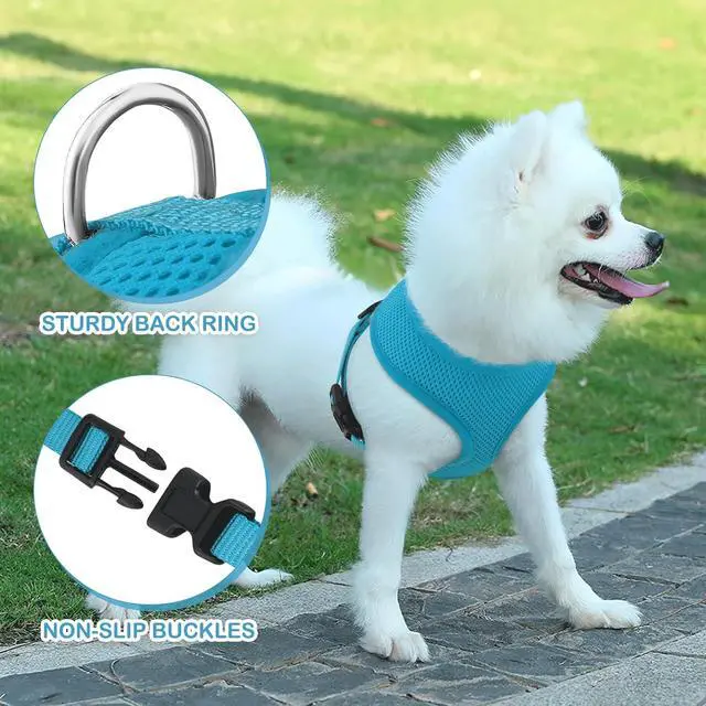 Alt view image 5 of 7 - Dog Harness for Small Sized Dog, Soft Puppy Padded Vest for Walking, Running, Training - Sky Blue, XS